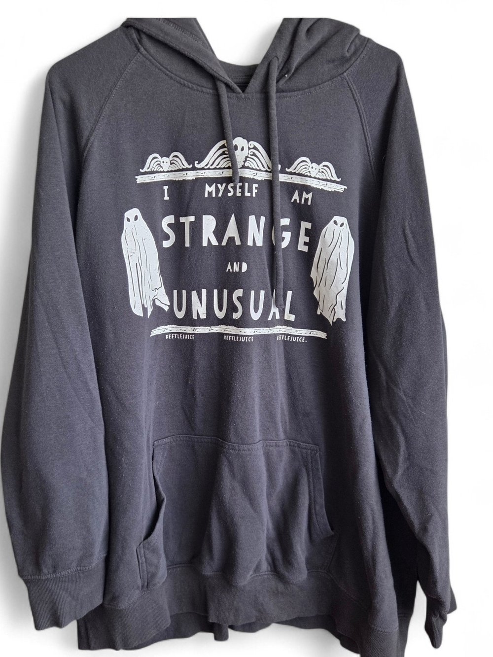 BeetleJuice Strange And Unusual Graphic Pullover Hoodie with Print